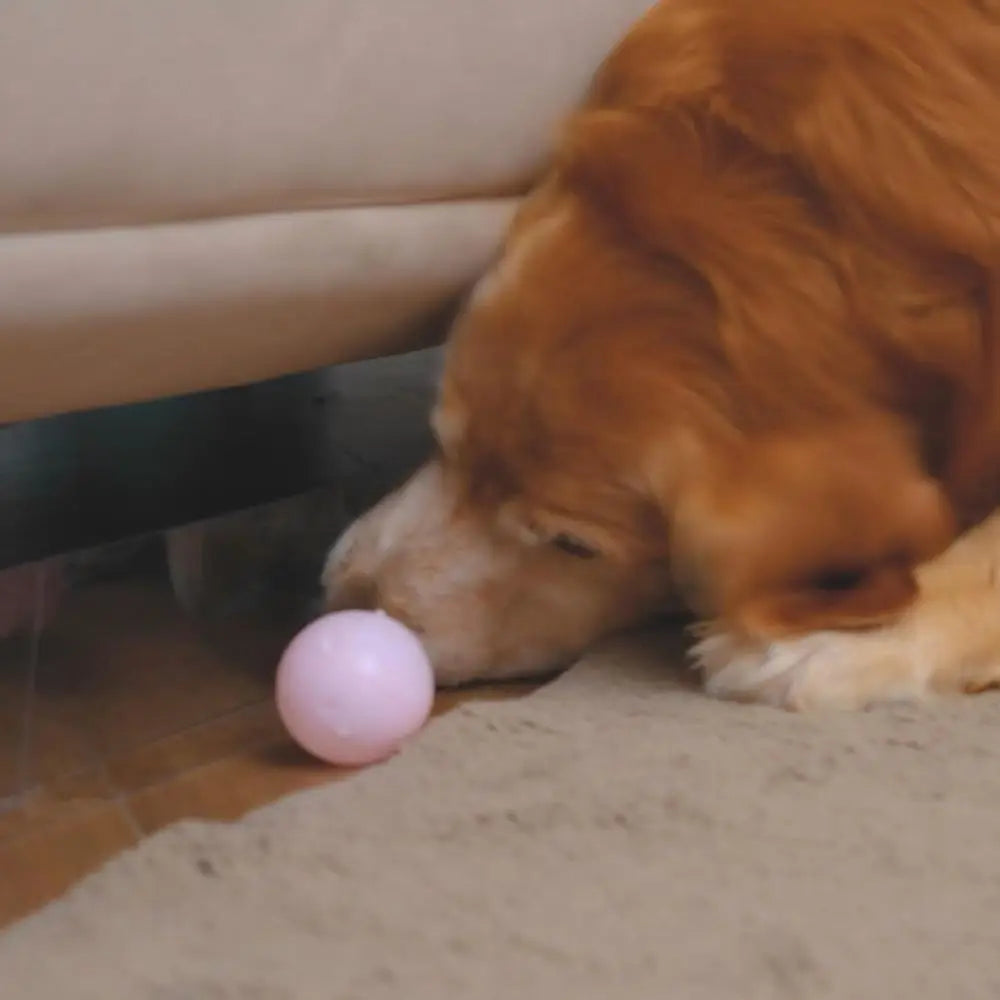 Clear Under Sofa Blockers – Stop Toys Rolling Under Furniture